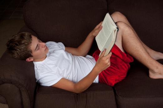 A writer's favorite novels can serve as muses.